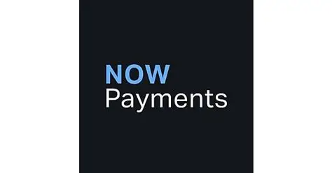 NowPayments Logo